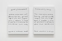Photosensitivity Warning (Diptych)
