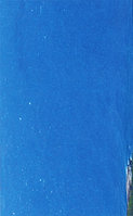 Aglossostomographie